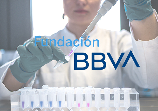 Convocatòria 2023 de la Fundació BBVA, per a la concessió de les Beques Leonardo a Investigadors i Creadors Culturals